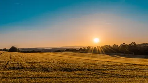 Sunrise over the garden — April