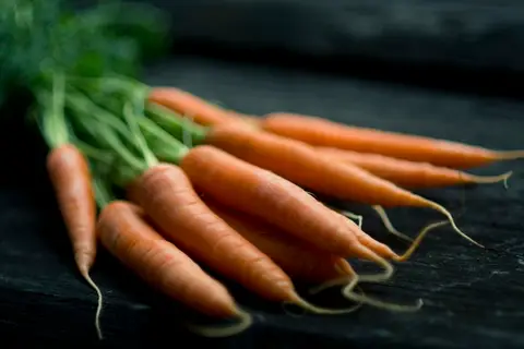 Harvesting carrots