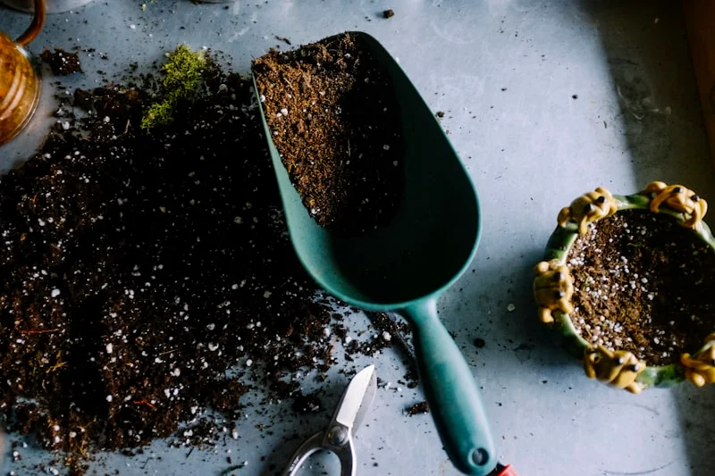 Seed starting workshop